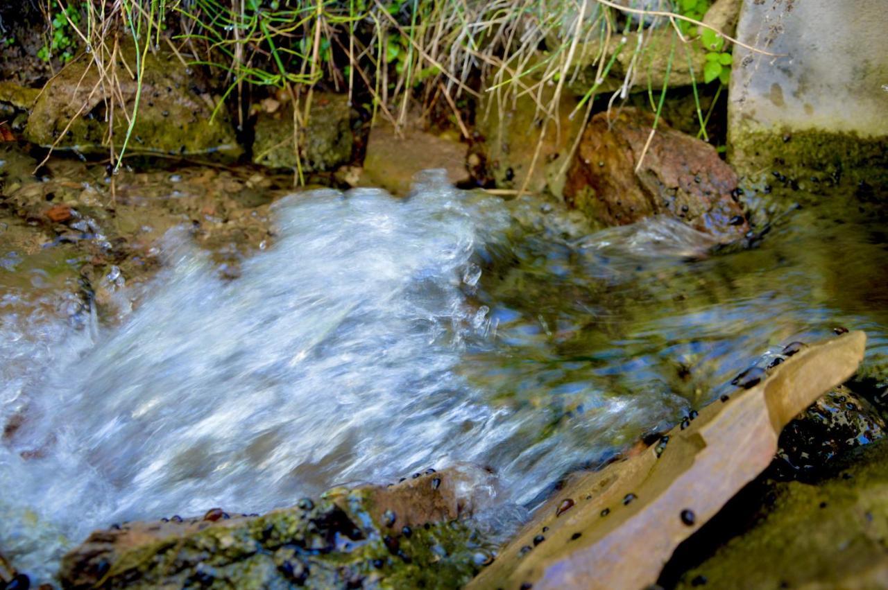 Ecoalbergue Rural De Algodonales Exteriör bild